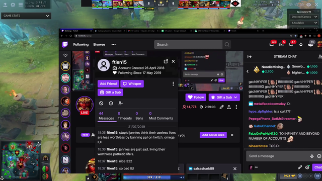 Streamer stumbles upon hate watcher with 15 accounts.