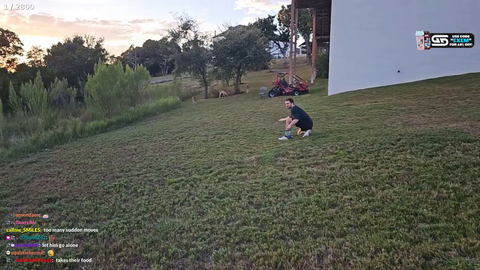 Mizkif deer sanctuary