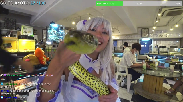 Shameless streamer makes out with camera
