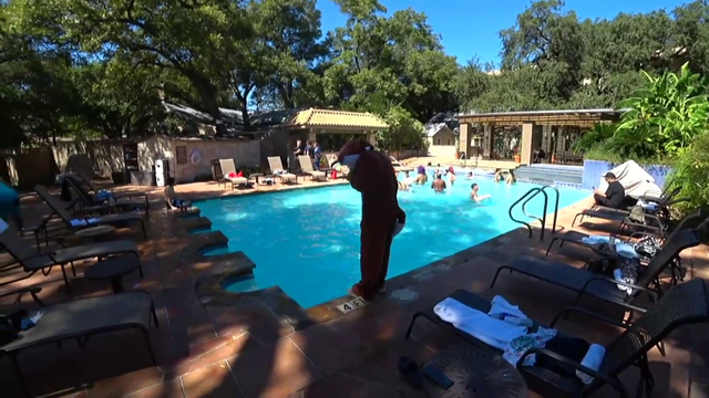 Wantep pushes furry errob into pool