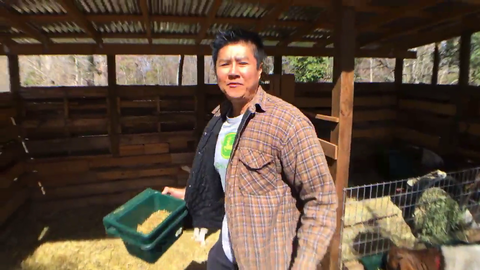 VaN on milking goats