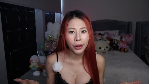 Streamer printed homemade newspapers about herself to leave in public restrooms in NYC