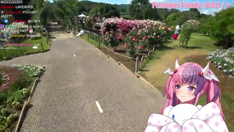 Connor (CDawgVA) shows Ironmouse Ashikaga Flower Park
