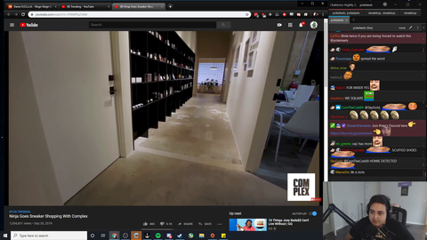 Poke gets bored watching videos