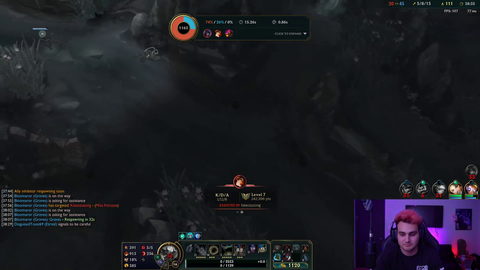 LilyPichu earning a thousand subs in a second.