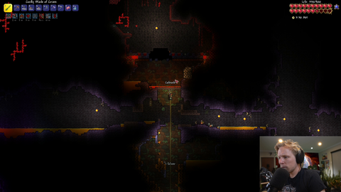 Average Quin Terraria stream
