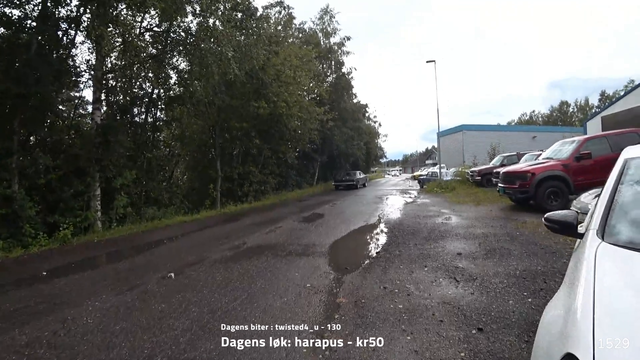 Cops and robbers in Norway