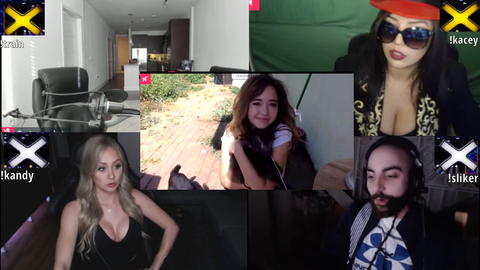Esfand taking his Paladin stance to defend mizkif