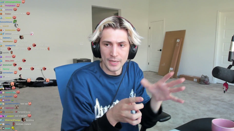 xQc owns 25% of NoPixel along with Buddha