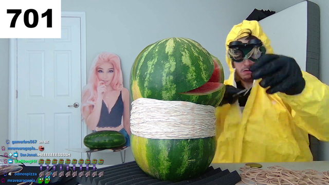 Meanwhile at the bottom of the Just Chatting category