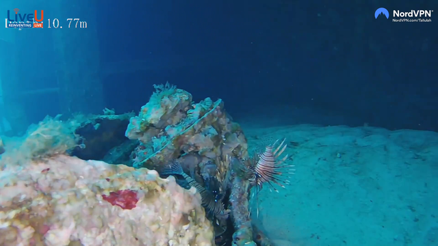 Awkwards_Travel finds invasive Lionfish diving near capsized car inside shipwreck in Greece