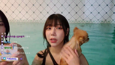 Koreans have already combined "Hot tubs" and "Animals" categories