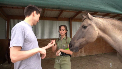 horse scares Daily Dose