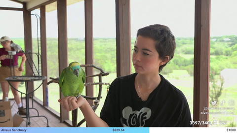 Bird Uncages With a squadW Speech