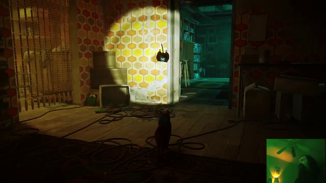 Aris questions why a cat needs a flashlight