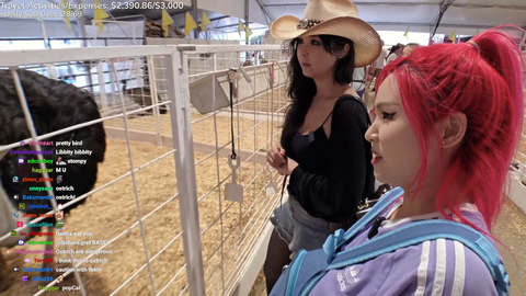 Ostrich had other plans for Nicoco’s hat