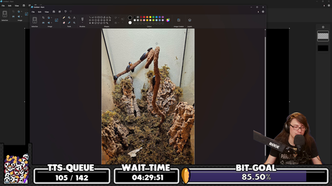 PirateSoftware talking about his pets