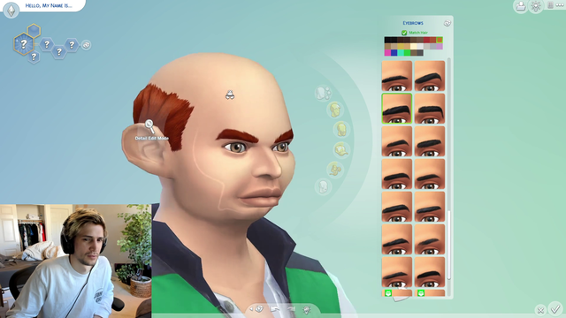 xqc creates mizkif in sims