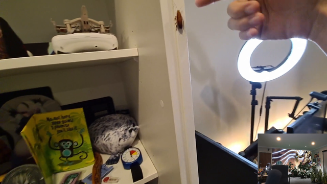 Quin saves cockroach