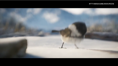 "If that bird dies I'm gonna say the N word"