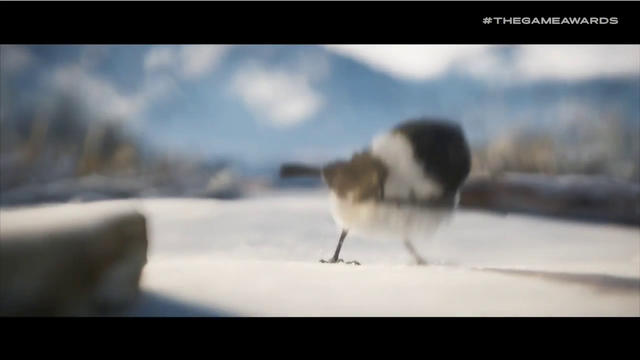 "If that bird dies I'm gonna say the N word"