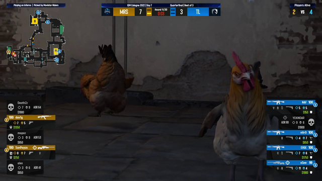 CSGO crowd mourns the loss of a fallen soldier