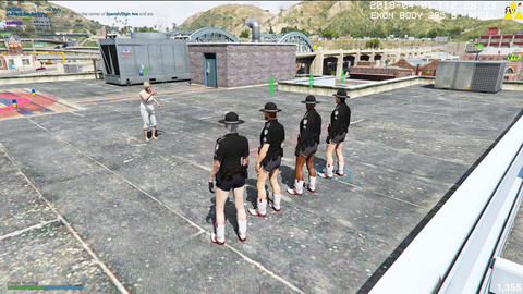GTA Police training