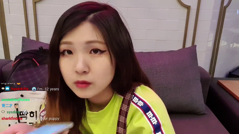 Korean Streamer triggers chat