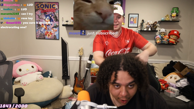 Zoil forgot to turn off his stream