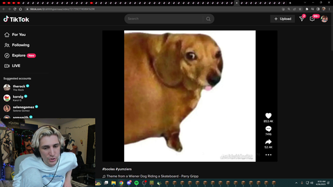 xQc Shows his Tiktok FYP
