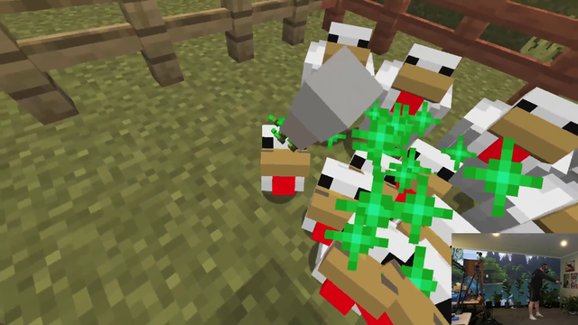 Quin enjoying his chickens