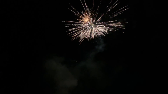 Knut blows up a firework and ruins New Year's Eve knutKona