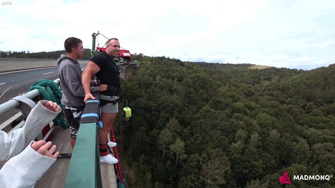 Knut Jumps Off A Bridge
