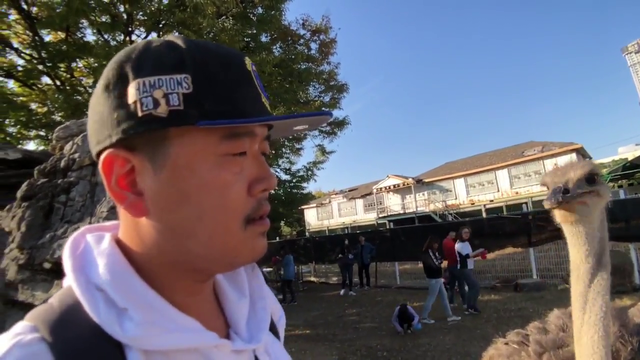 EXBC kicked out of sketchy zoo