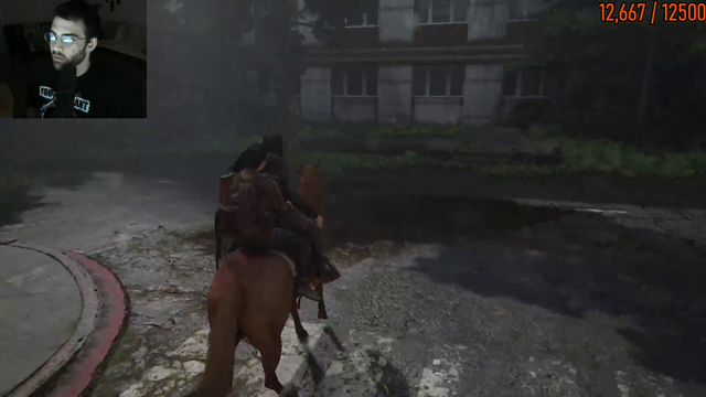 Hasan the Horse Girl