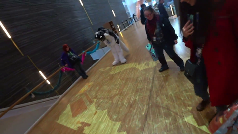 Nymn meets a furry DansGame
