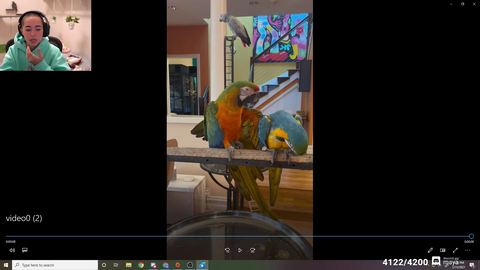 Maya's new bird might be problematic
