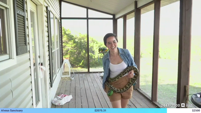 NMP is reincarnated as a snake