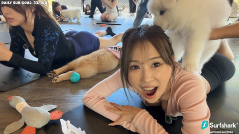 Vicious dog mauls Kiko