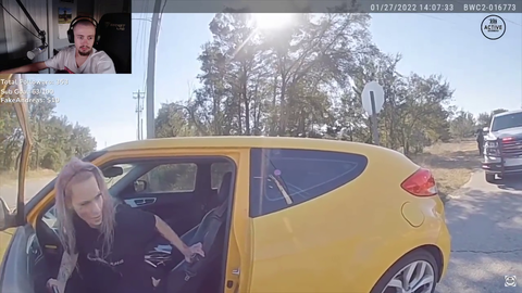 Girl Pulled Over By Police Looks Like An IRL High Elf From Skyrim