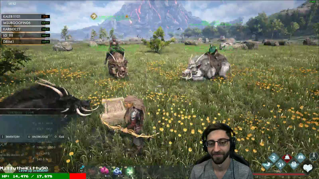Taming a Mount Goes Horribly Wrong