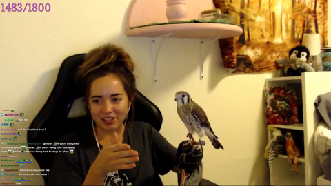 Maya teaches us how to tell if a bird is fat