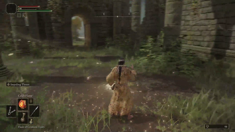 Veibae and Soda get their names censored in Elden Ring co-op