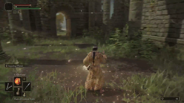 Veibae and Soda get their names censored in Elden Ring co-op