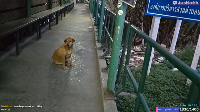 SAJ