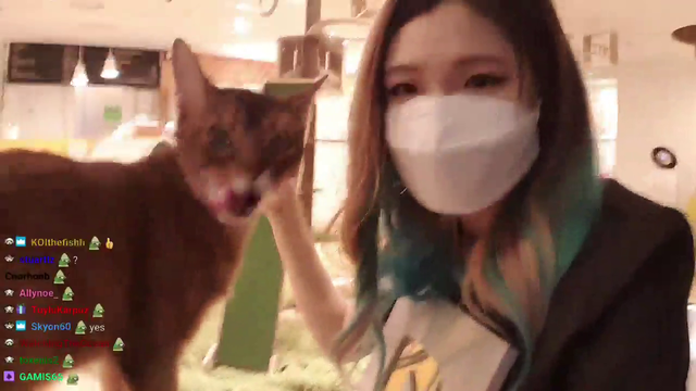 hachuKitty