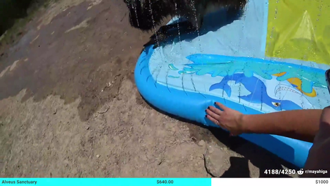 Stompy joined the hot tub meta