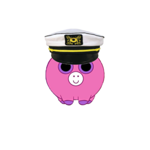 AnySPIDERPIG