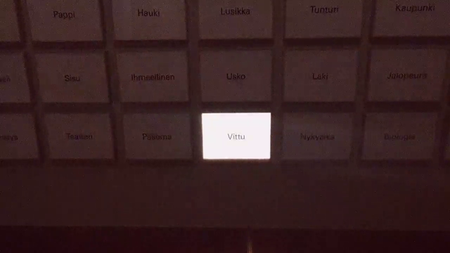 Educational Finnish museum