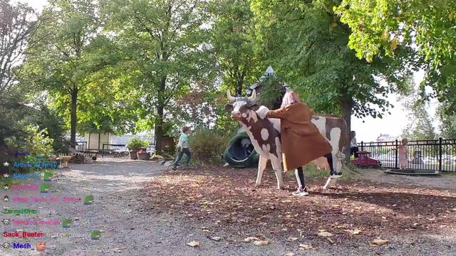 Hachubby becomes a cowgirl